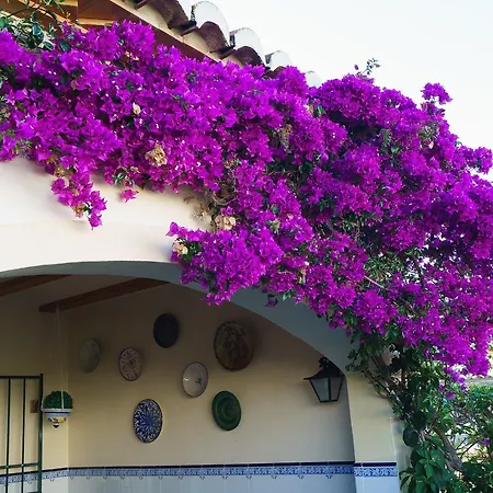 Mirall Villa